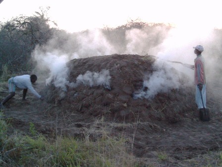 Mozambique, 2003. Haciendo carbón en Matuitene
